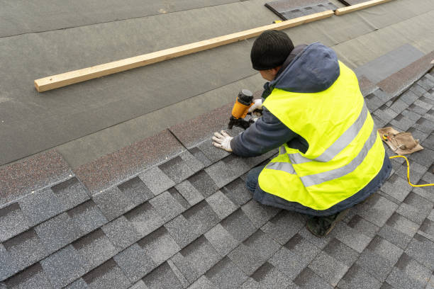 Best Chimney Flashing Repair  in Johnson Lane, NV