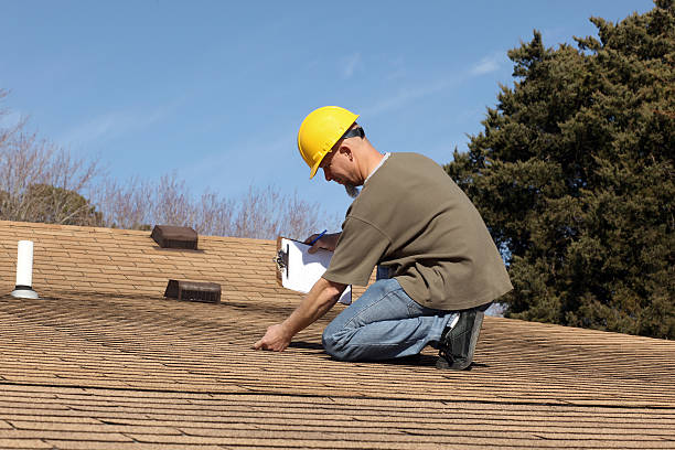 Best Rubber Roofing (EPDM, TPO)  in Johnson Lane, NV